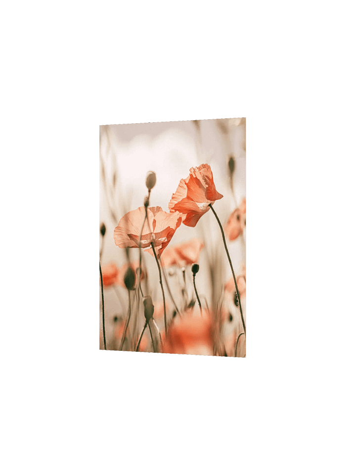 Translucent Poppy Whispers Poster product image (24)