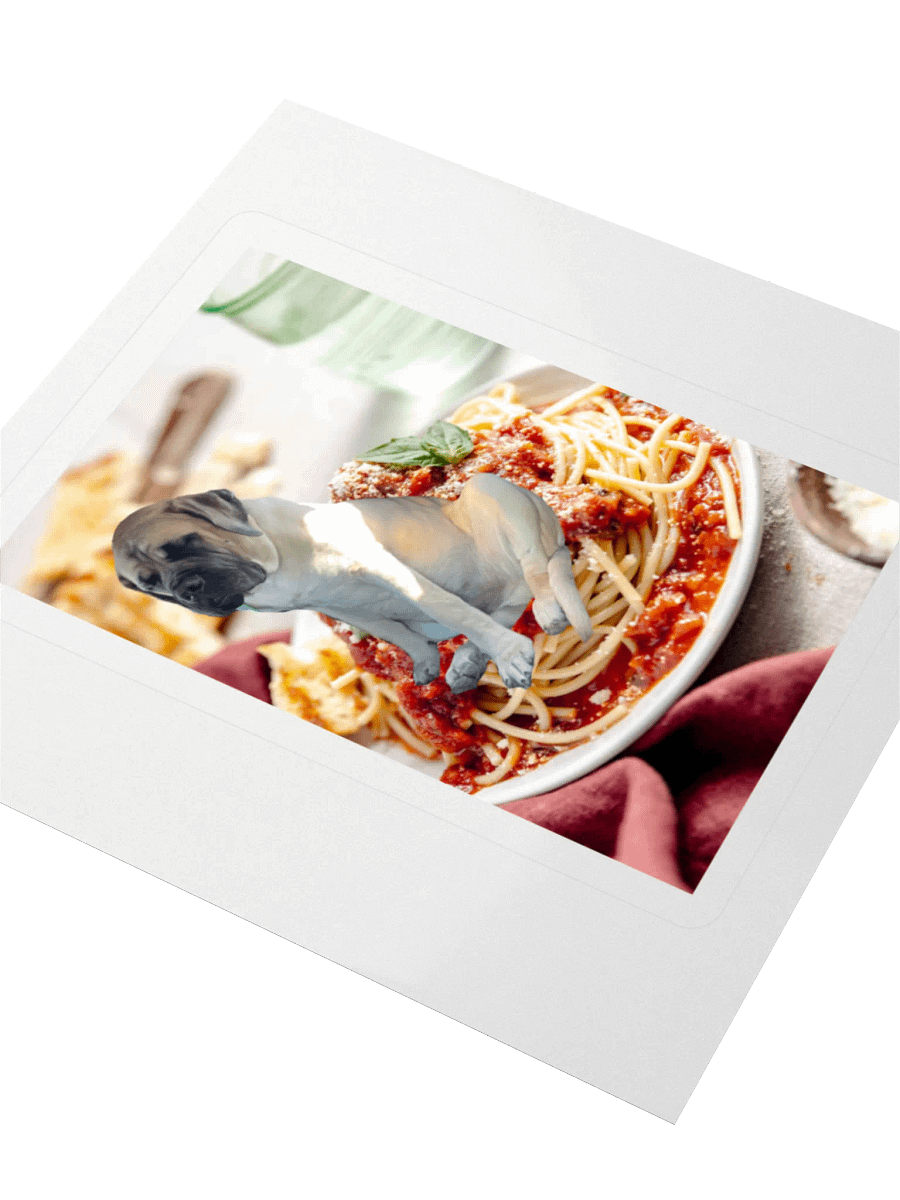 Spahget Sticker product image (3)