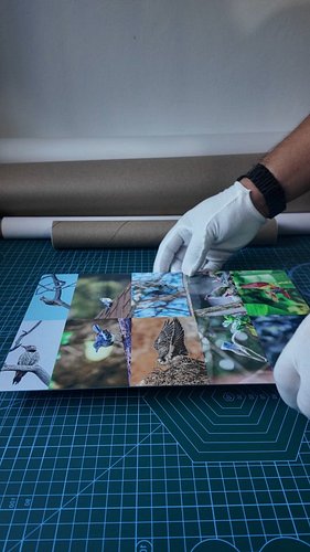 Preparing your orders
Shopee: shopee.ph/deluxprintph
Lazada: lazada.com.ph/shop/delux-print
#chromaluxe #metalprint #deluxprint