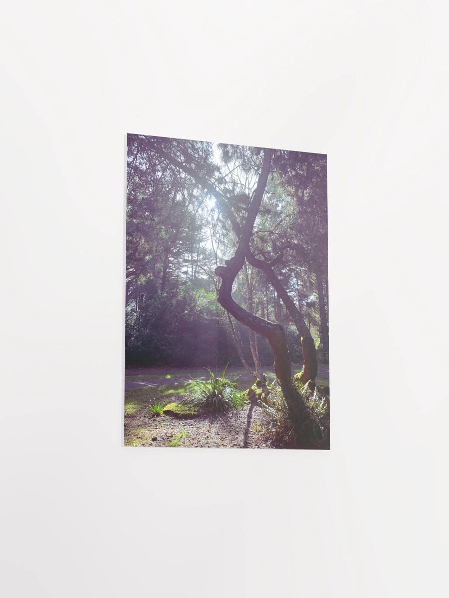 Soulmates product image (27)