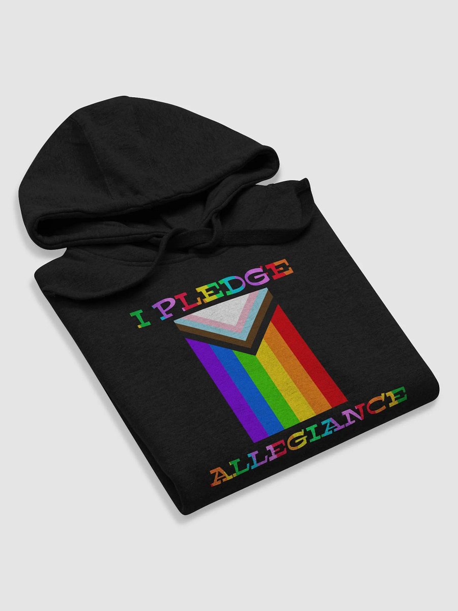 I Pledge Allegiance To Progress Hoodie product image (5)
