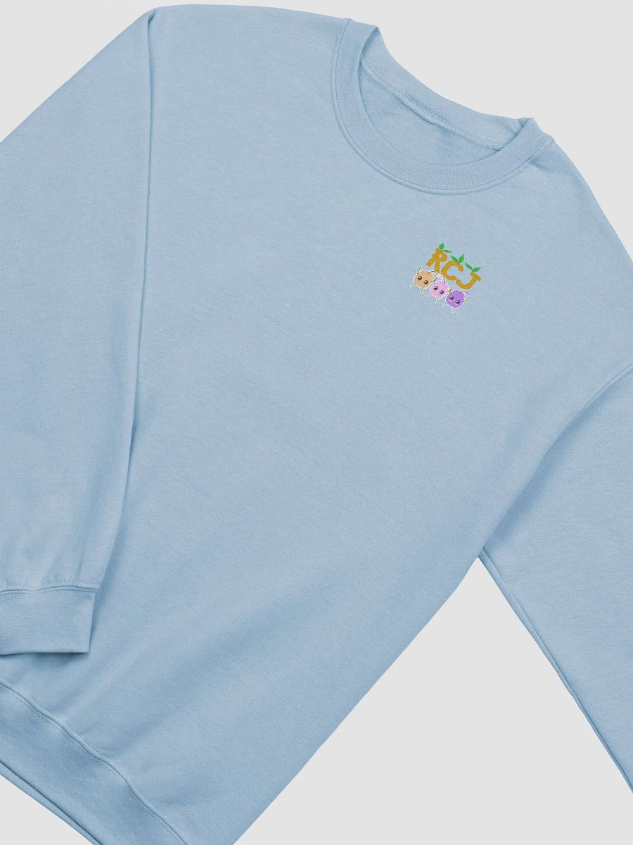 RCJ Sweatshirt product image (19)