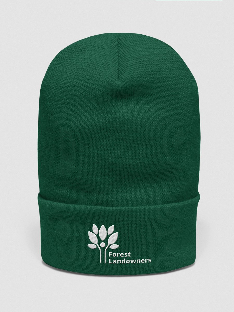 Green FLA Beanie product image (1)