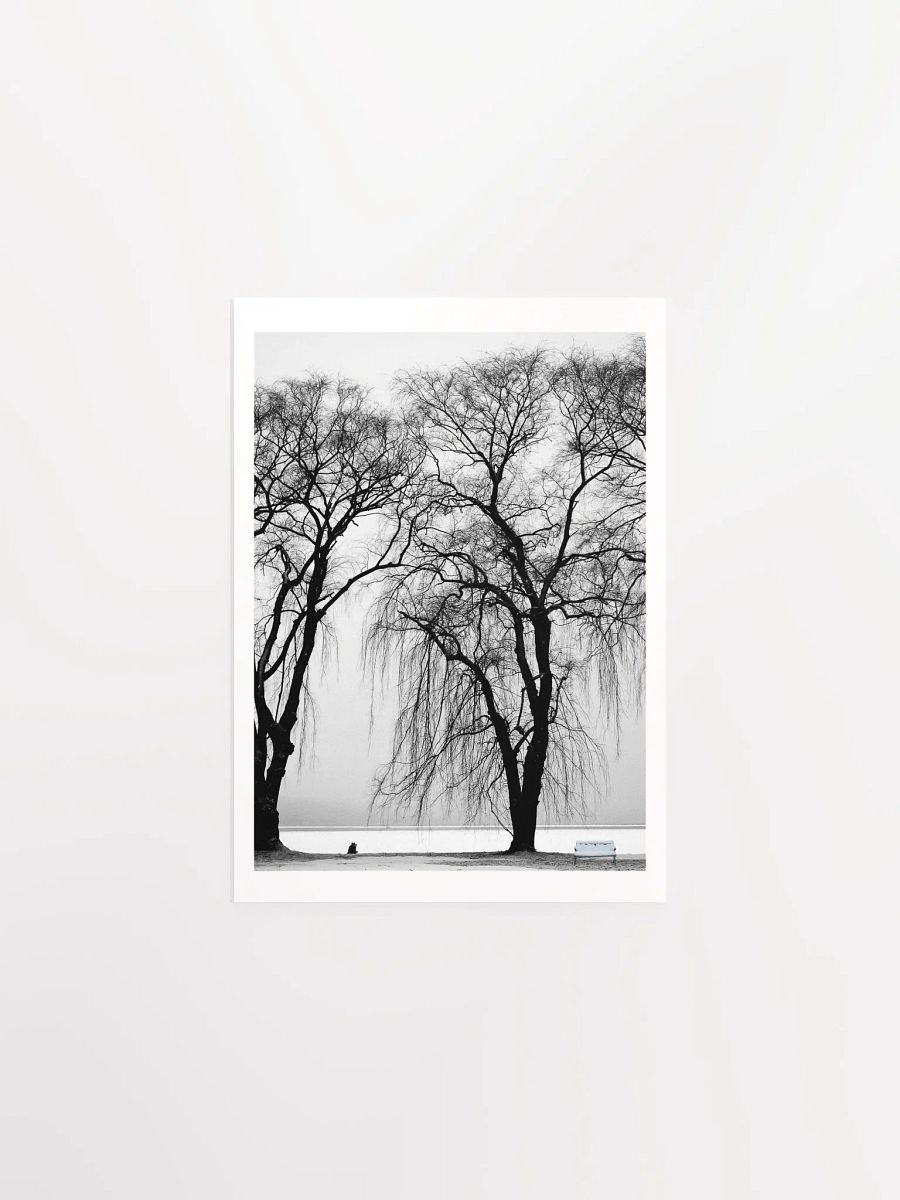 SOLACE IN THE MIST product image (1)