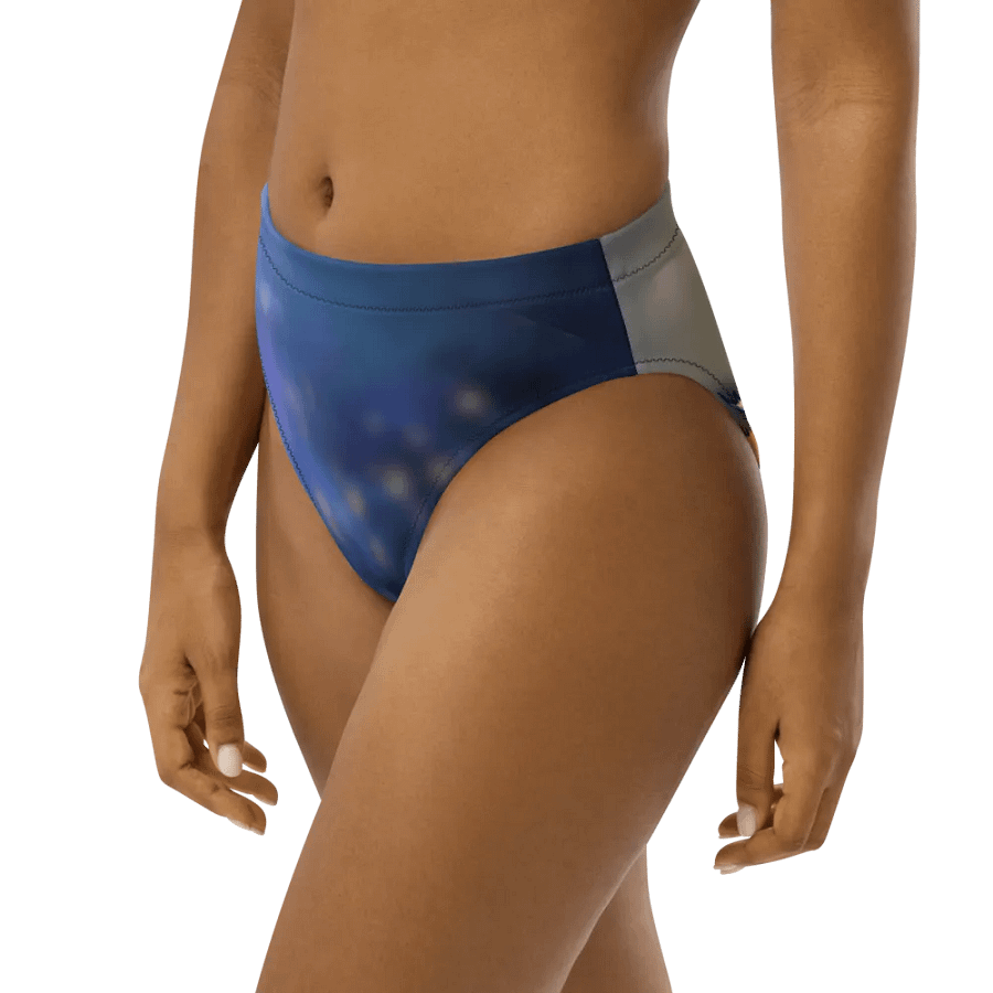 High Waisted Bikini Bottom product image (7)