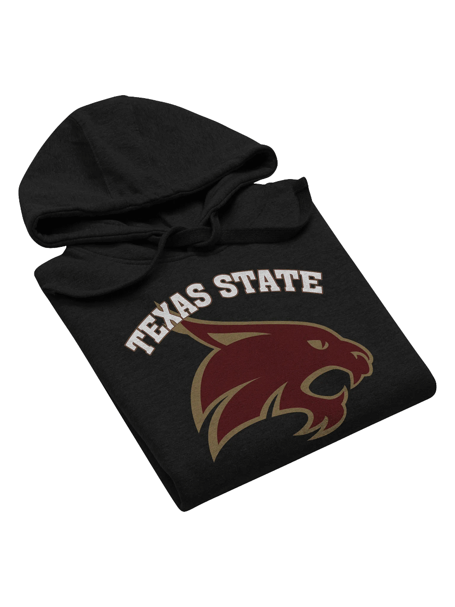 TEXAS STATE Premium Hoodie product image (5)