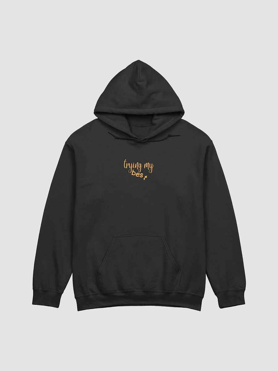 trying my best hoodie product image (2)