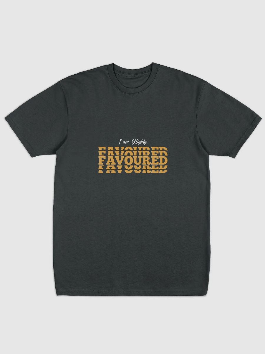 FAVOURED Premium Heavyweight Tee product image (1)