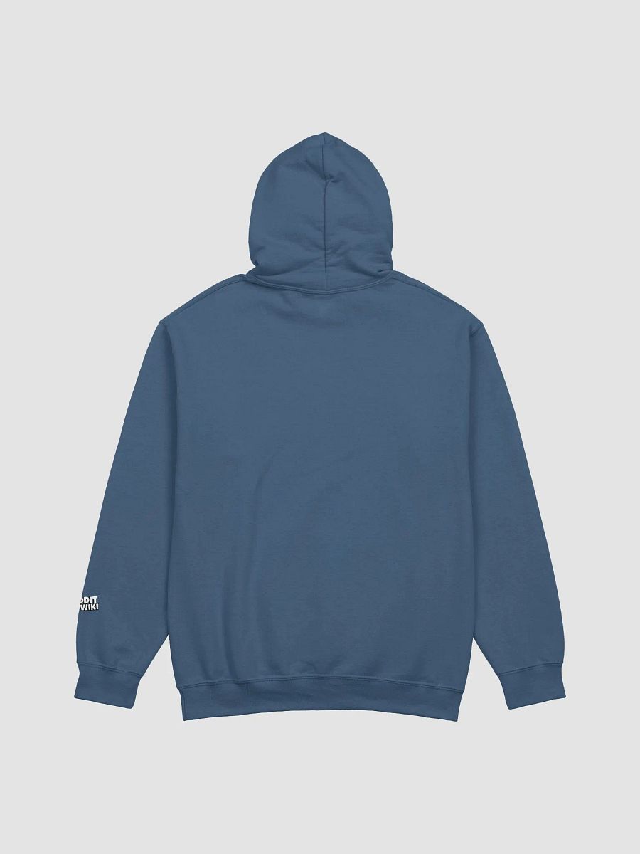 Gaycation - Hoodie product image (15)