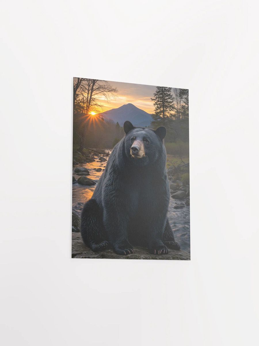 Black Bear: Mt. Le Conte's Guardian Poster product image (17)