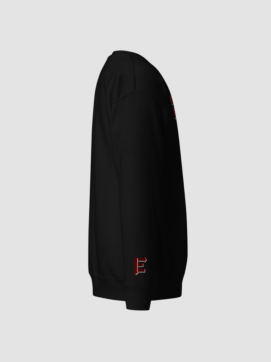 Right Down Euclid Crewneck Sweatshirt product image (4)