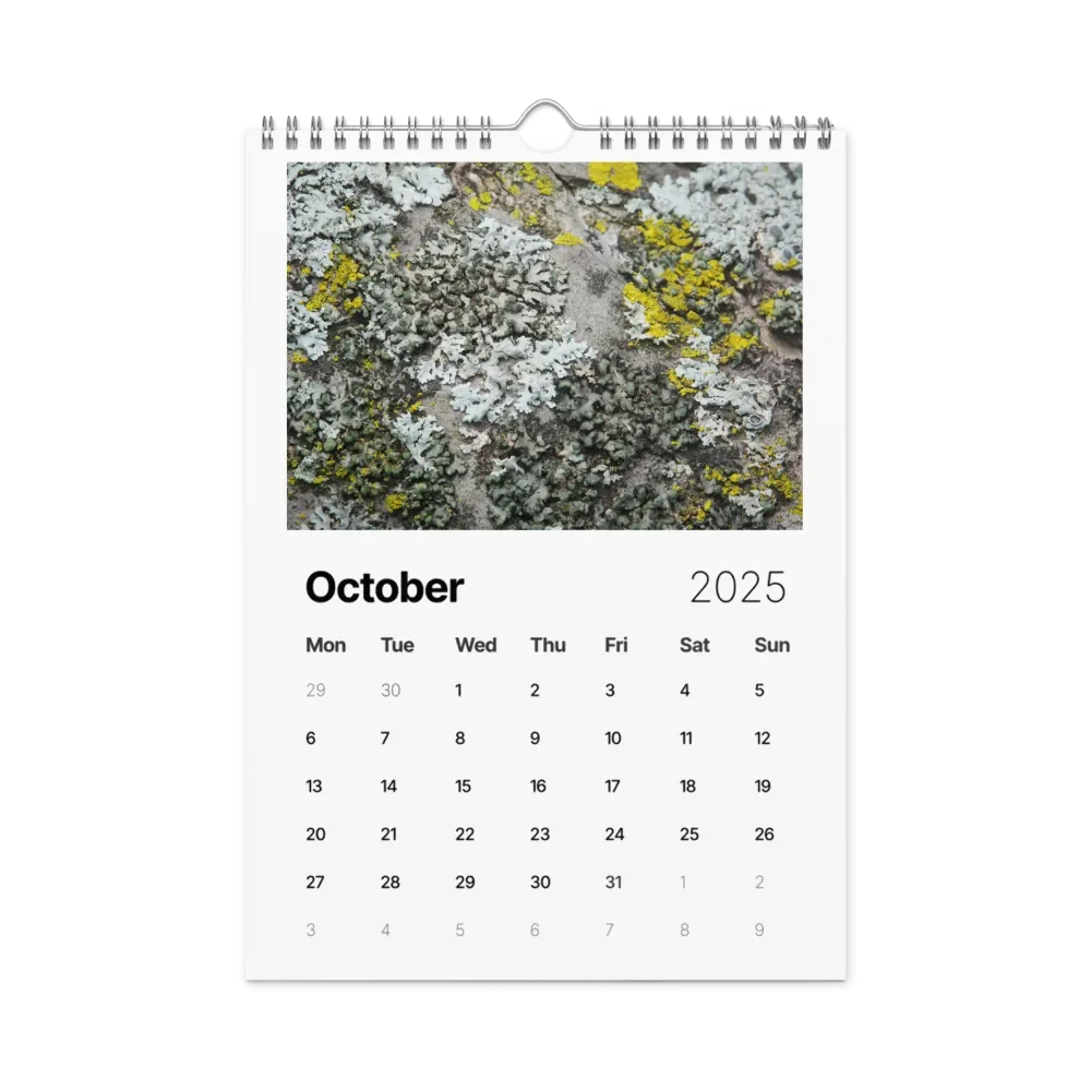 Likin' Lichen 2025 Wall Calendar product image (11)