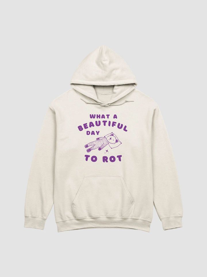 What a beautiful day to rot Hoodie product image (1)