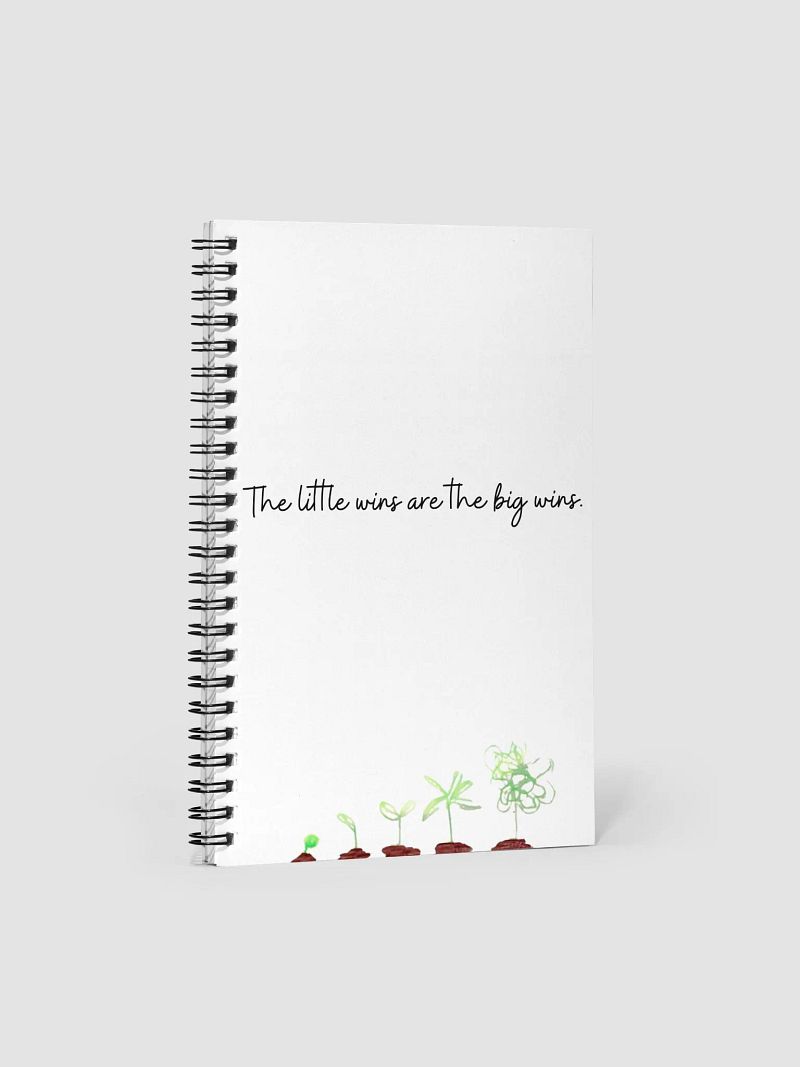 Little Wins Journal