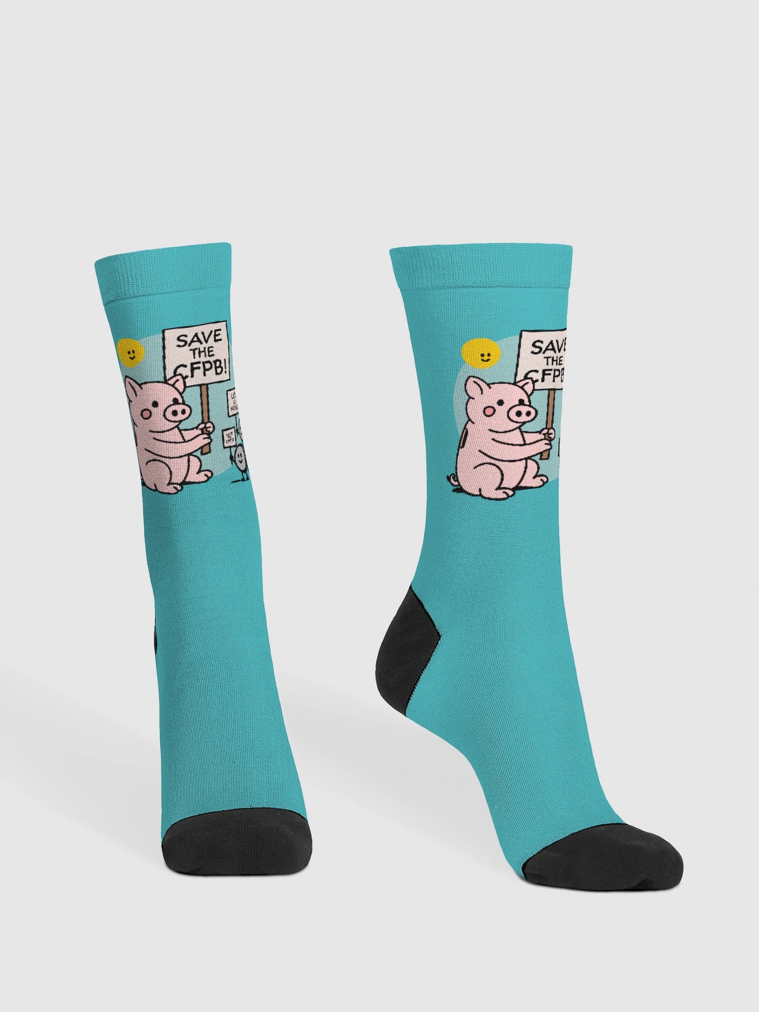 CFPB Piggy Bank Picket Socks product image (2)