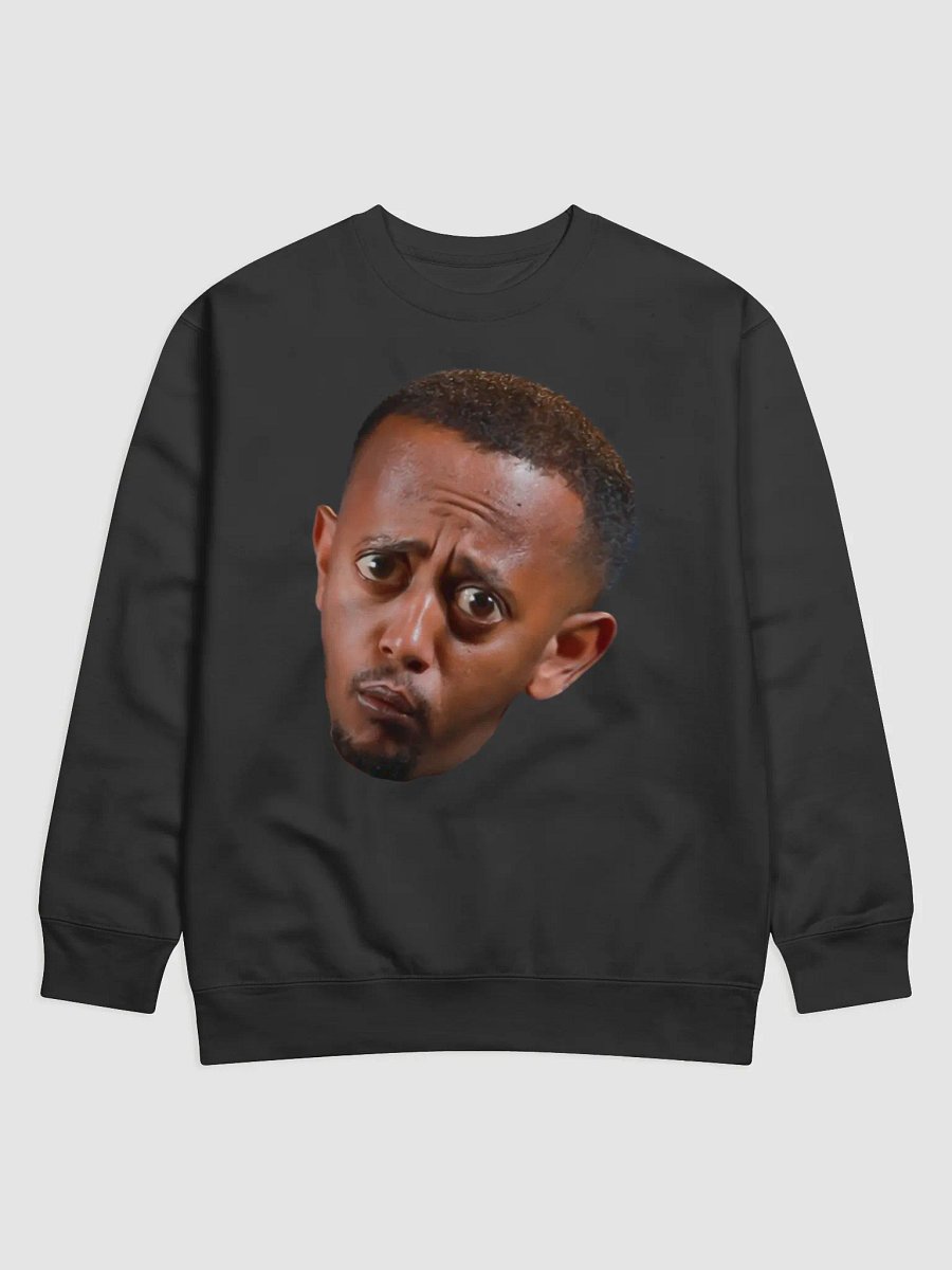 Whimsical Confusion Premium Sweatshirt product image (1)