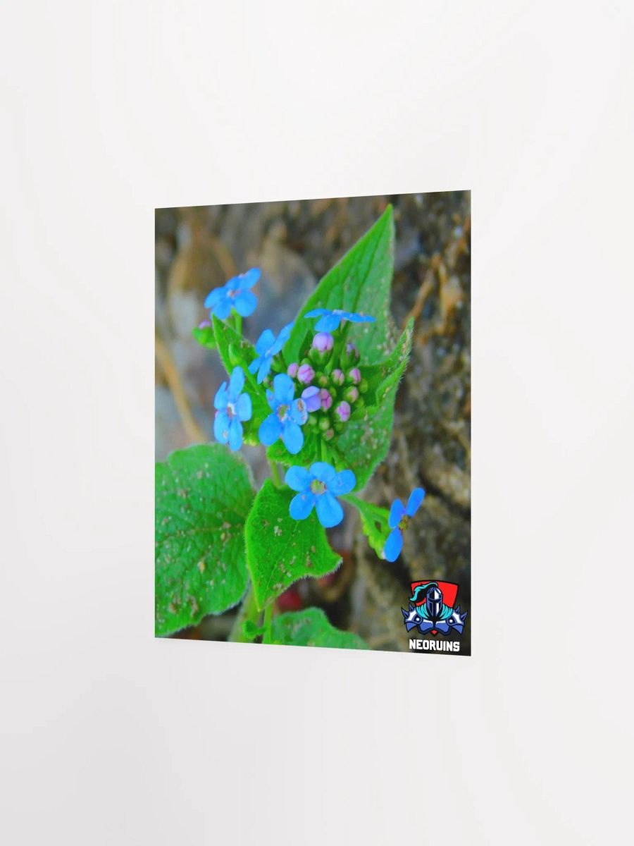 Flower Poster product image (2)