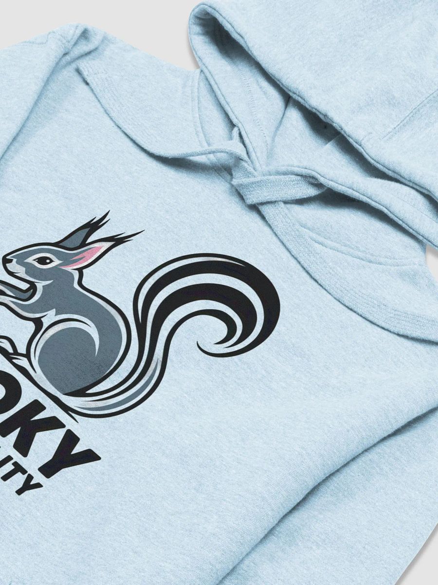 Super Soft and Comfy Hoodie: Pooky for Equality product image (3)