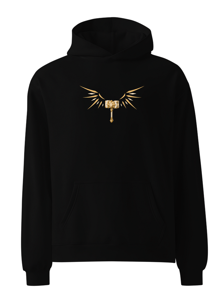 WingsIsUp Unisex Hoodie product image (1)