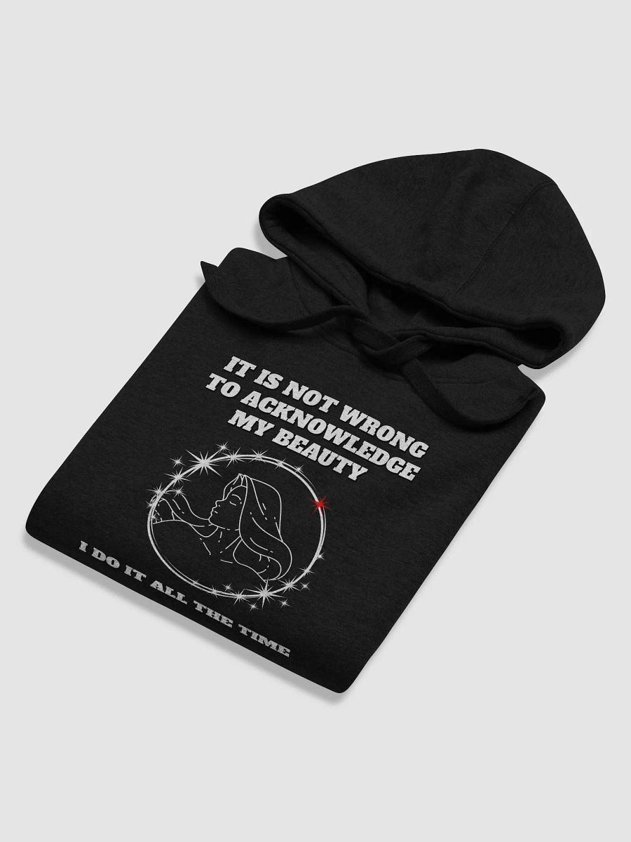 It Is Not Wrong To Acknowledge My Beauty - Funny Hoodie product image (33)