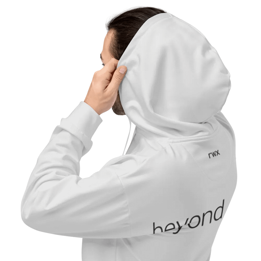 1338, beyond leet hoodie (light grayscale mode) product image (3)