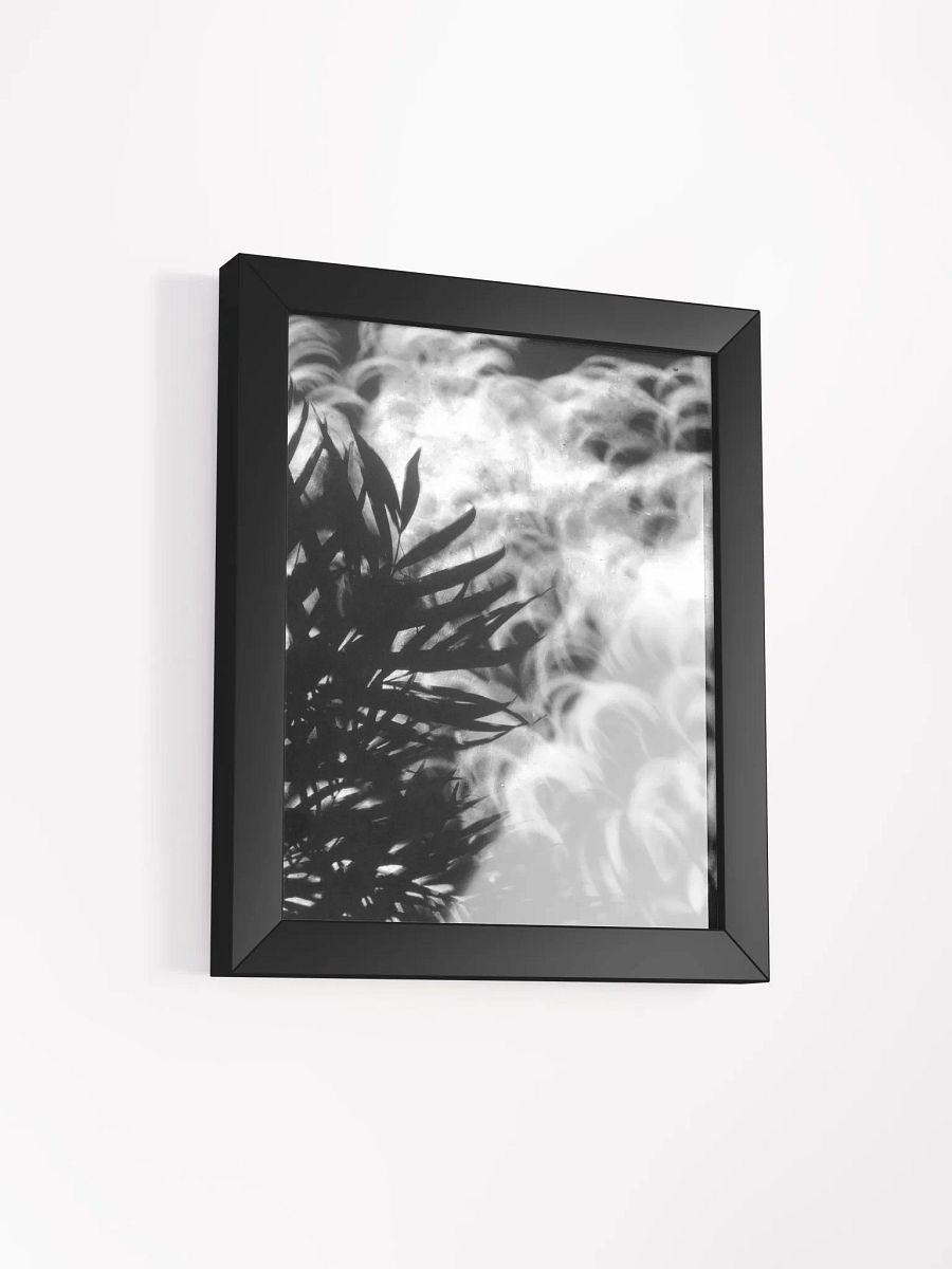Crescents of Light from the Eclipse - Print 1 - Framed Poster product image (2)