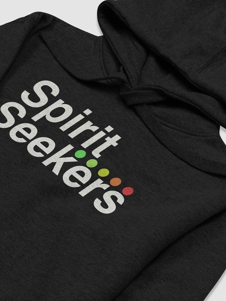 Spirit Seekers Hoodie product image (2)