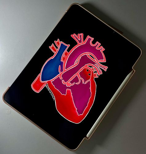 Heart | 🫀