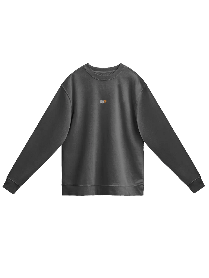 FOR ALL THE DOGS SWEATSHIRT BLACK product image (2)