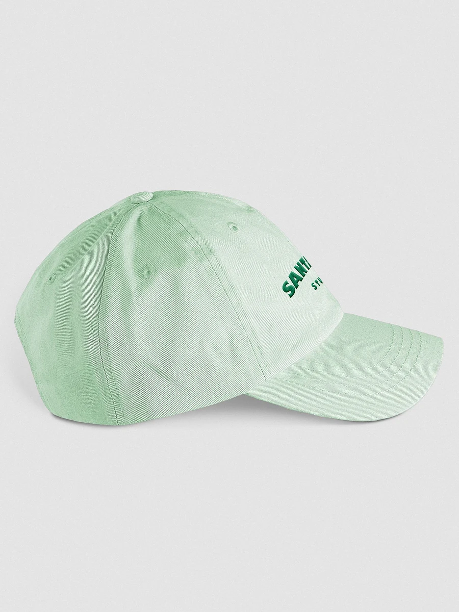 Mint Green Santagato Studios Hat product image (4)