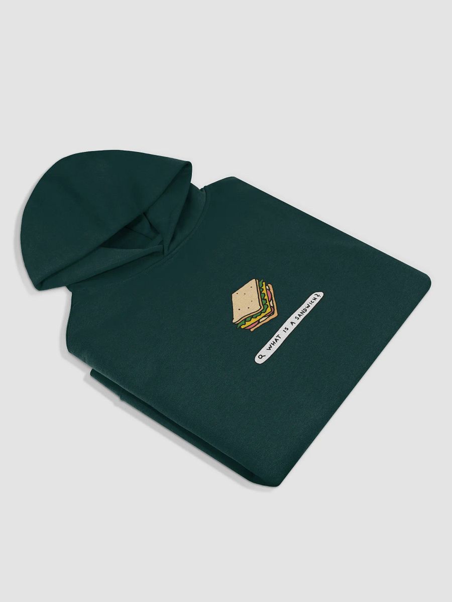 Original TSM 'What is a Sandwich' Hoodie product image (16)