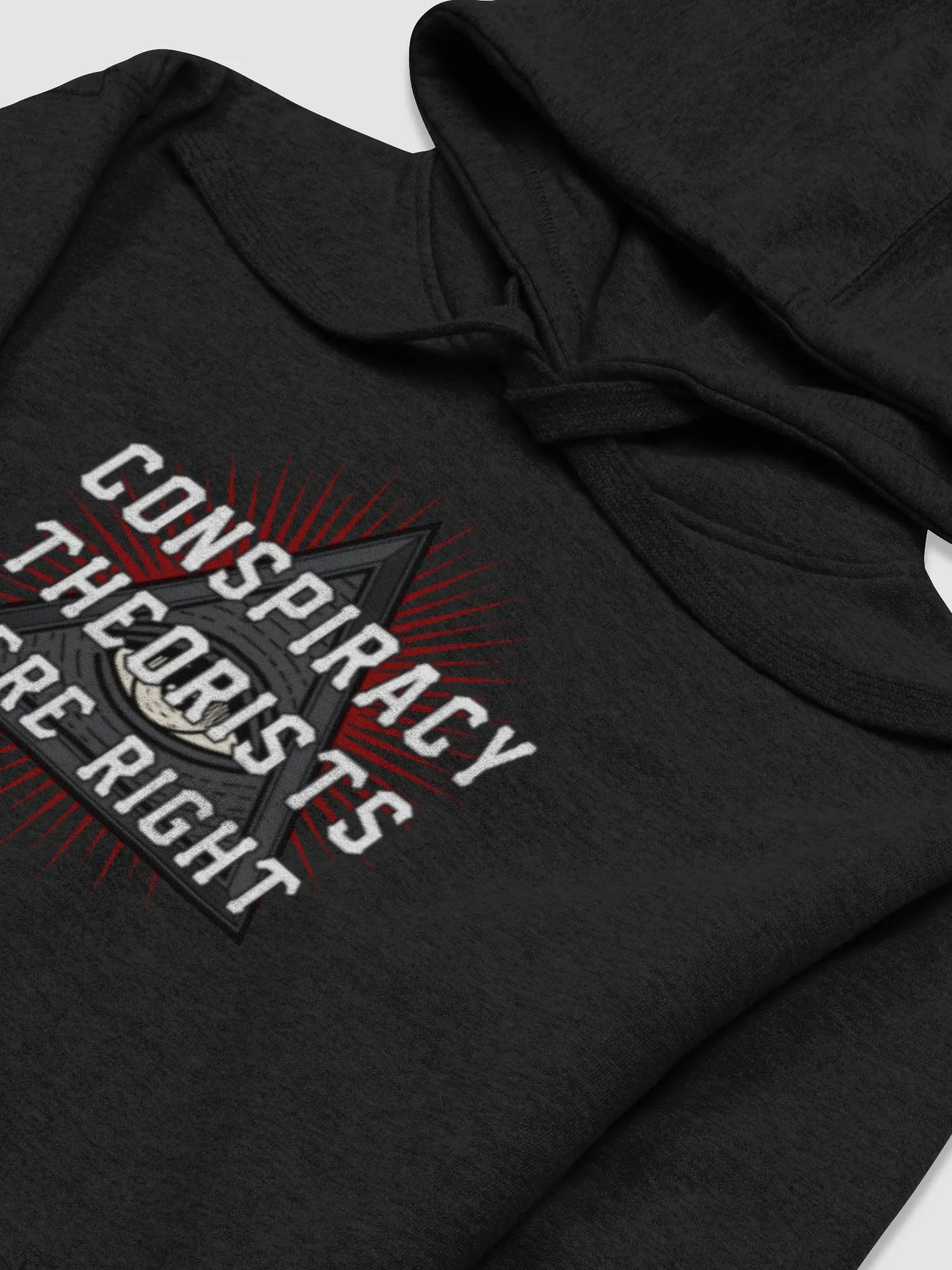Conspiracy Theorists Were Right! - Premium Hoodie product image (2)