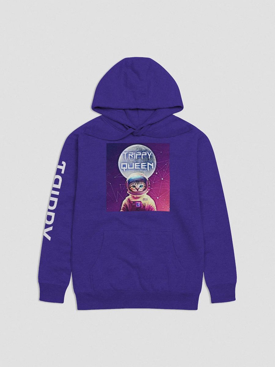 Astro- Cat Hoodie (Front Only) with White Sleeve Detail. product image (1)