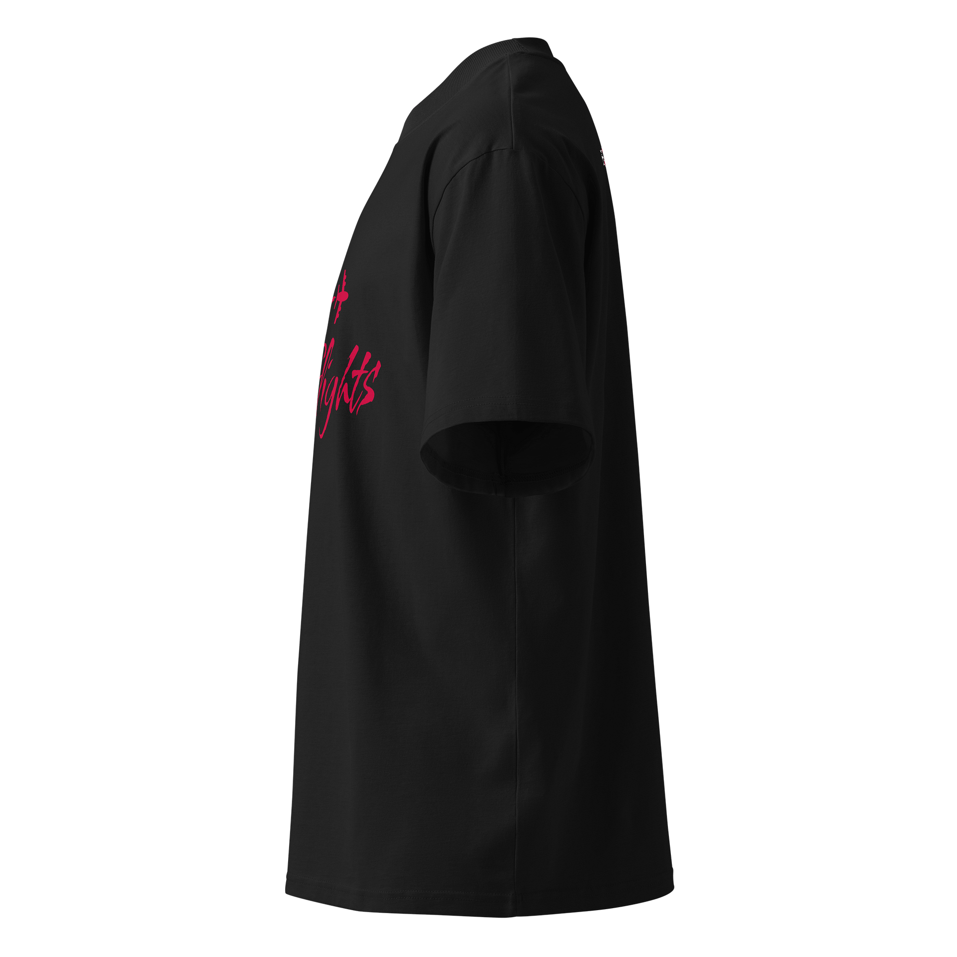 Take Flights Oversized Tee product image (3)