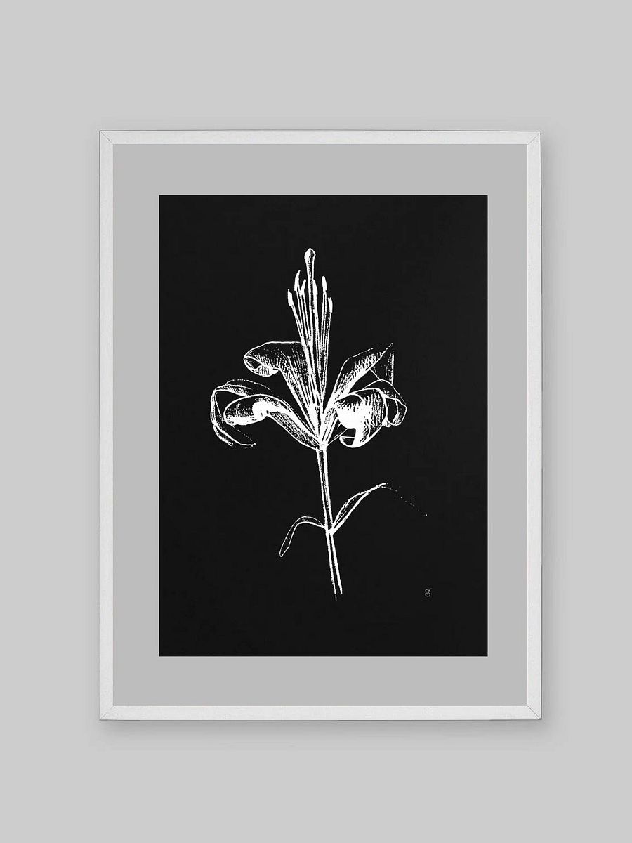 Ethereal Lily Sketch Poster - Fine Flower Dark product image (10)