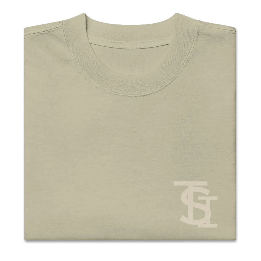 TIS Oversized Faded T-Shirt product image (3)