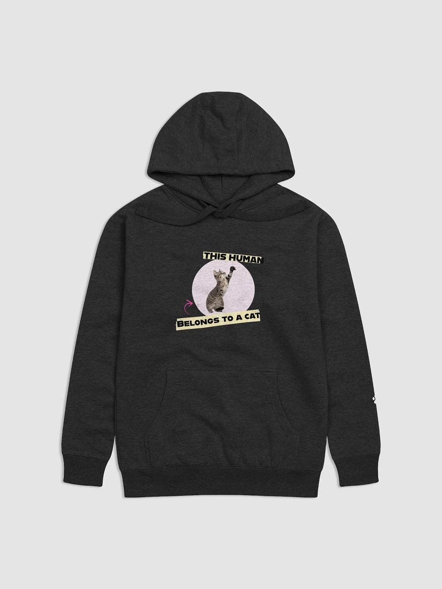 Playful Kitten Hoodie product image (9)