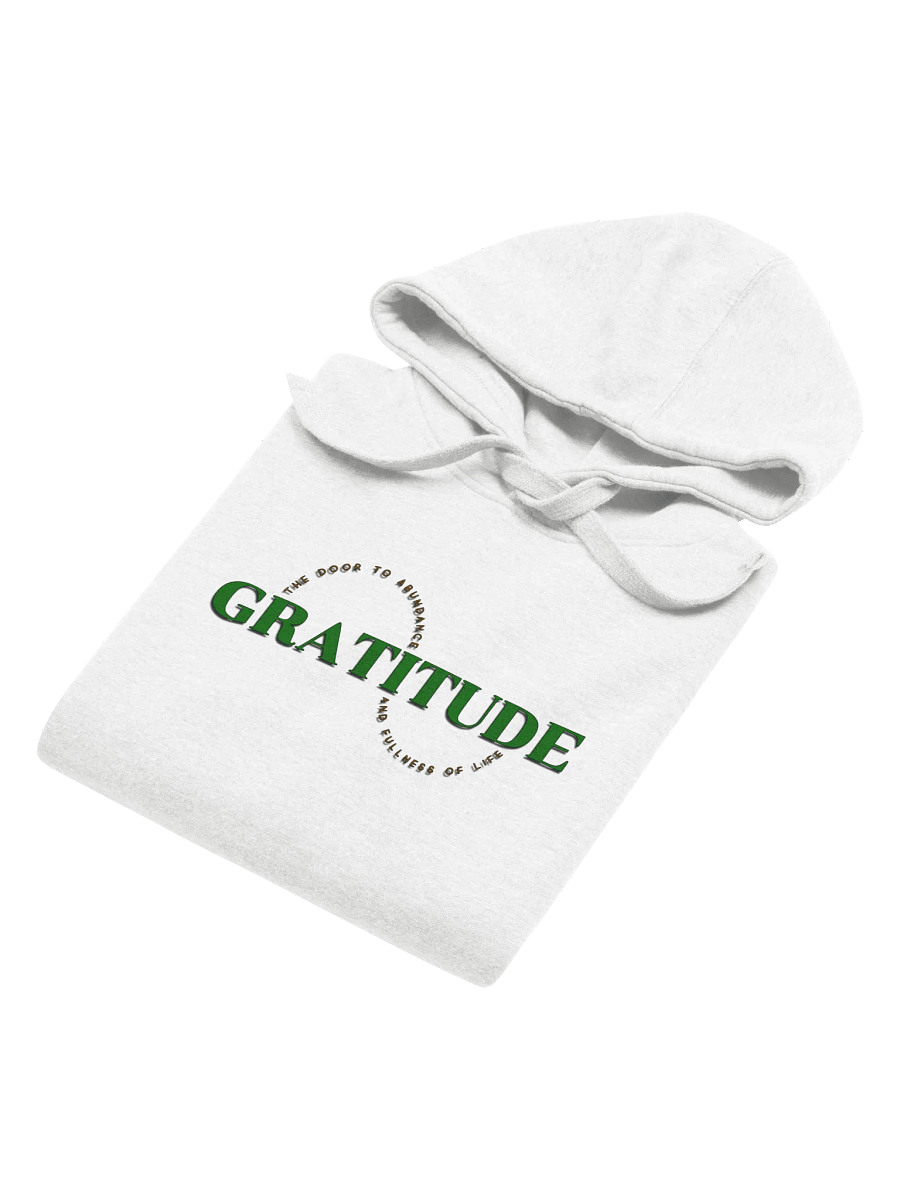 Gratitude Circle Premium Hoodie product image (4)
