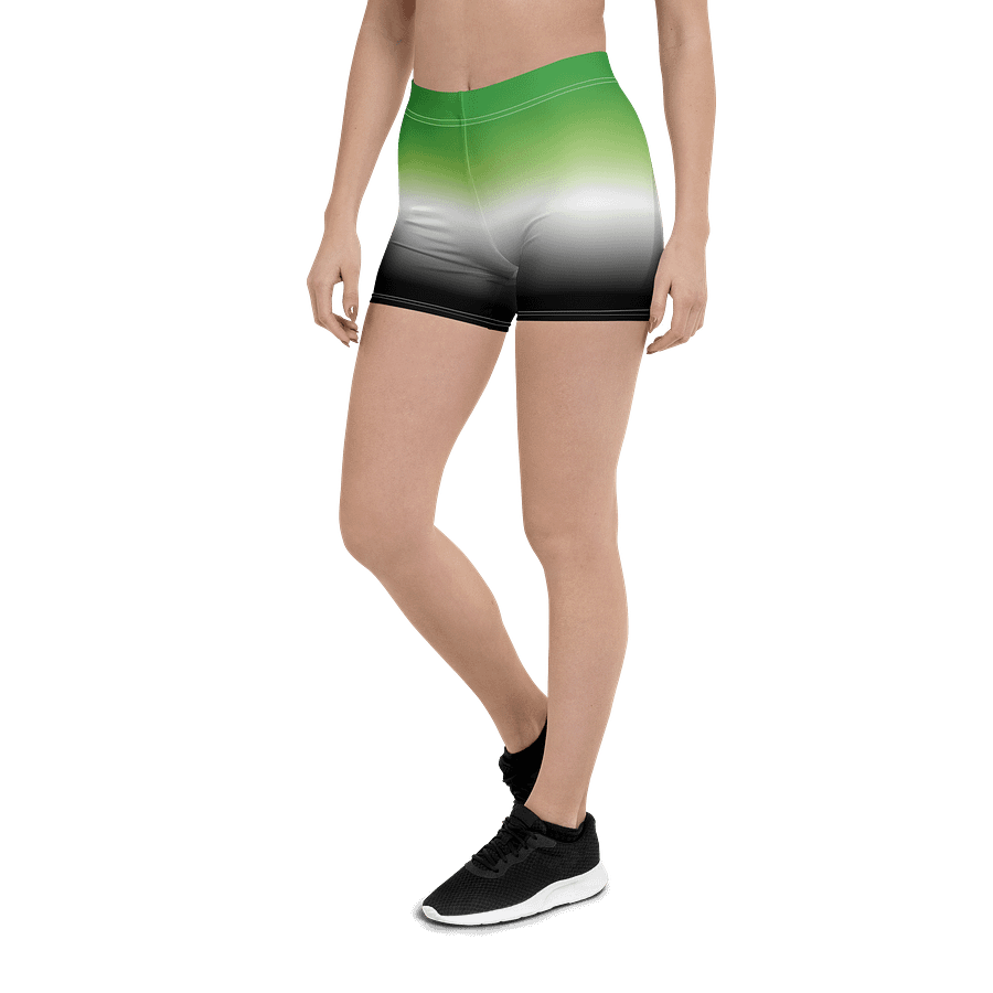 Aromantic Pride Gradient Bike Shorts product image (5)