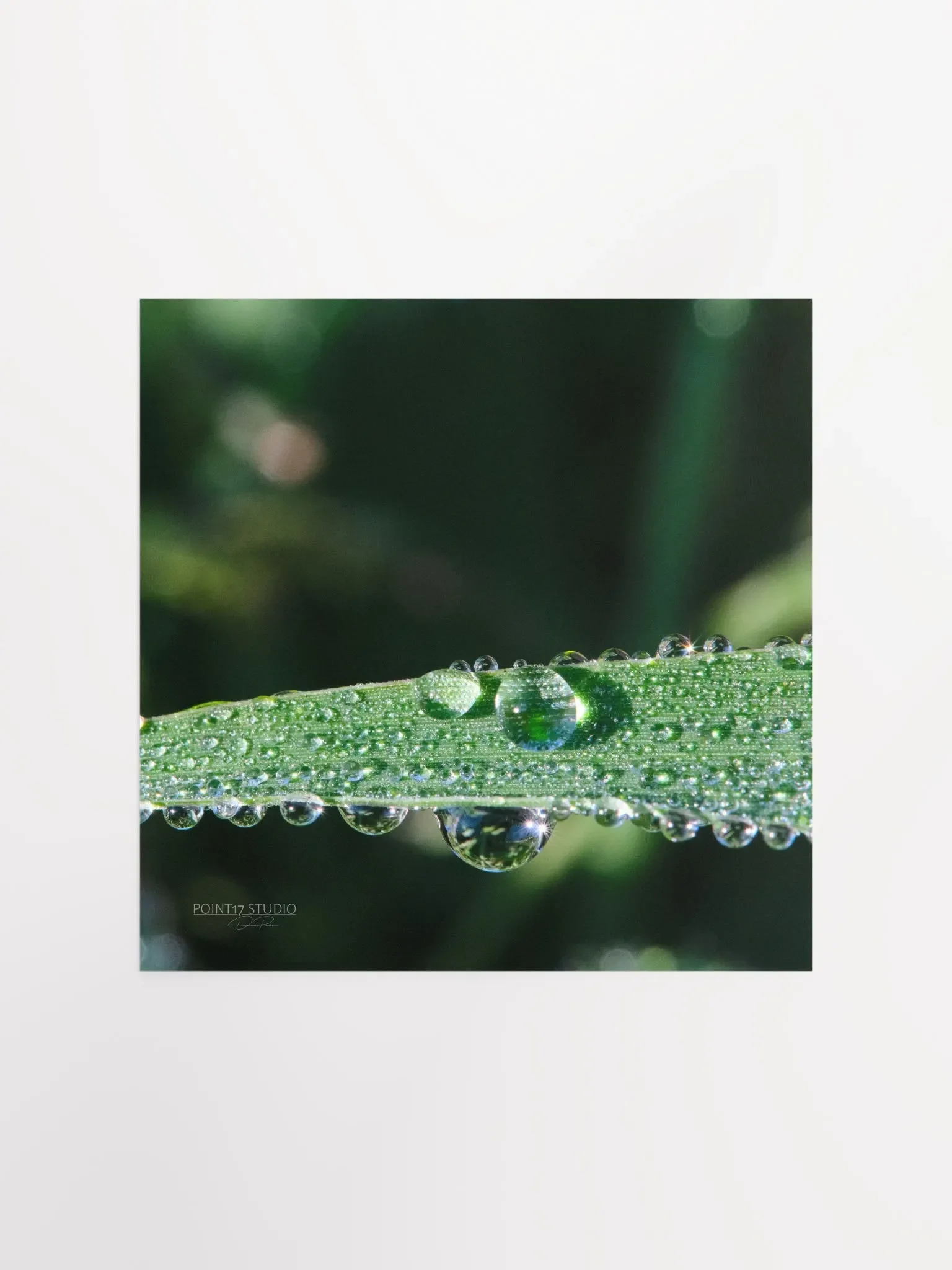 Dew Gems #2 - Print product image (3)