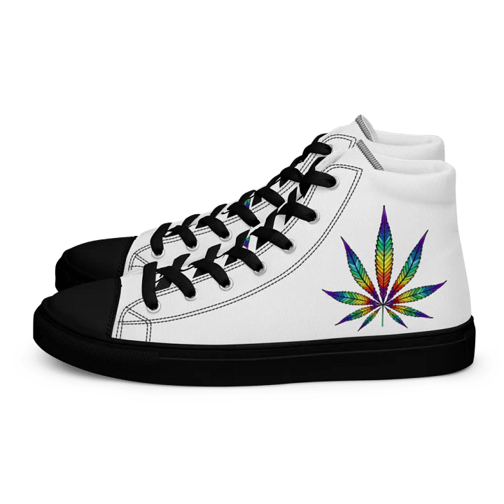 rainbow pot mens shoes product image (1)