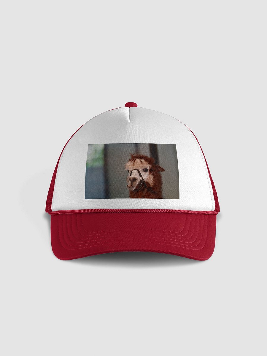 Halter Llama Foam Trucker Hat product image (1)