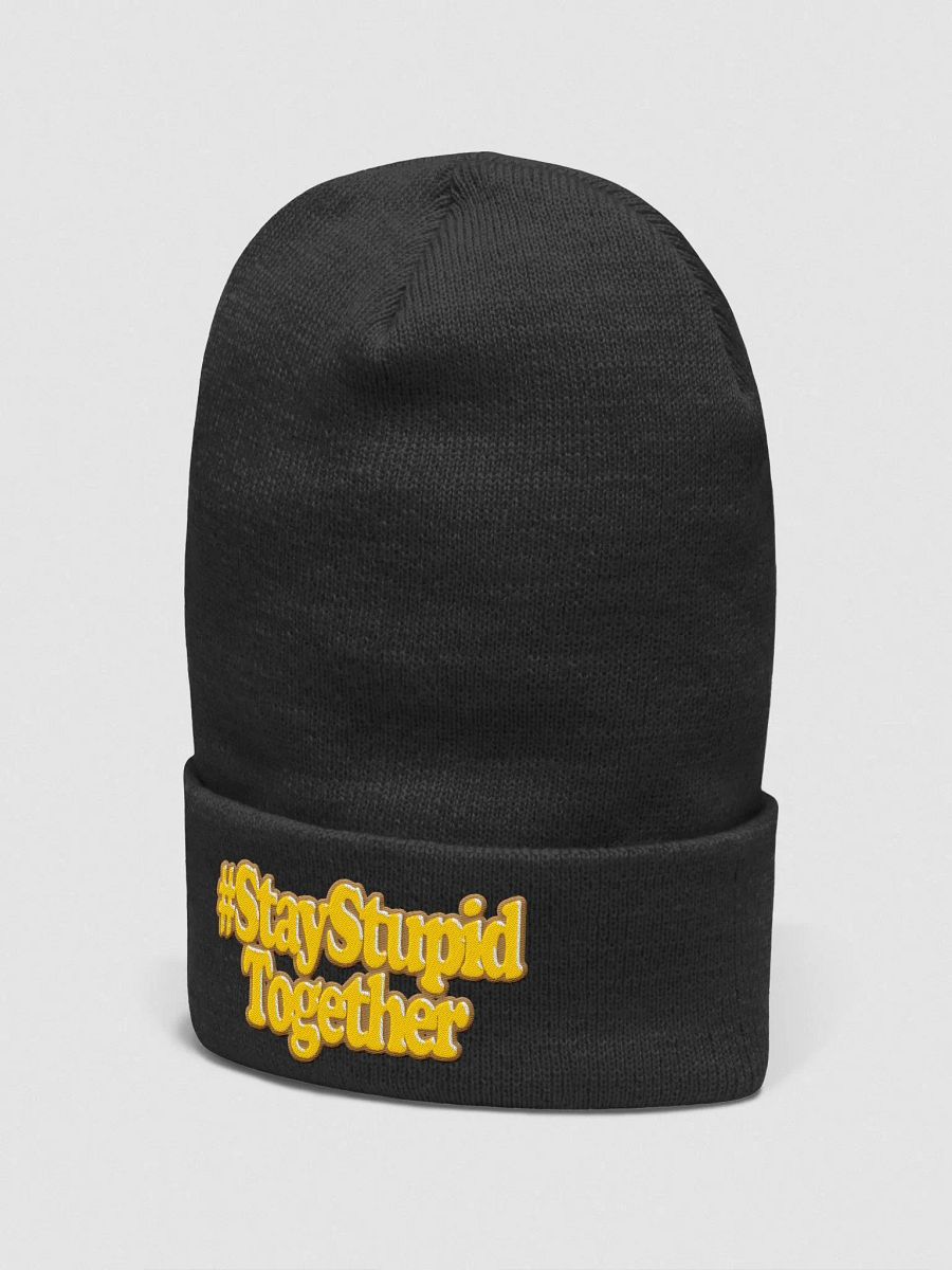 SST Beanie product image (14)