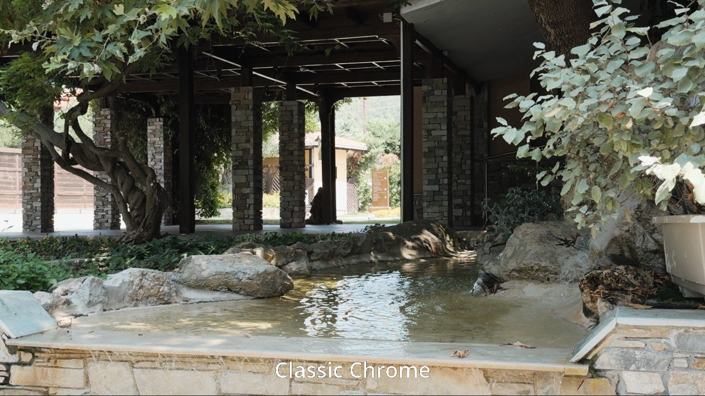 Fujify [Apple Log] 3D LUTs product image (3)