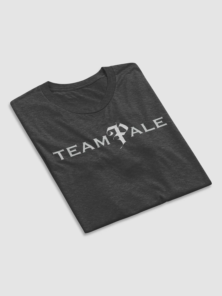 Nightmare Realm Team Pale T-Shirt product image (22)