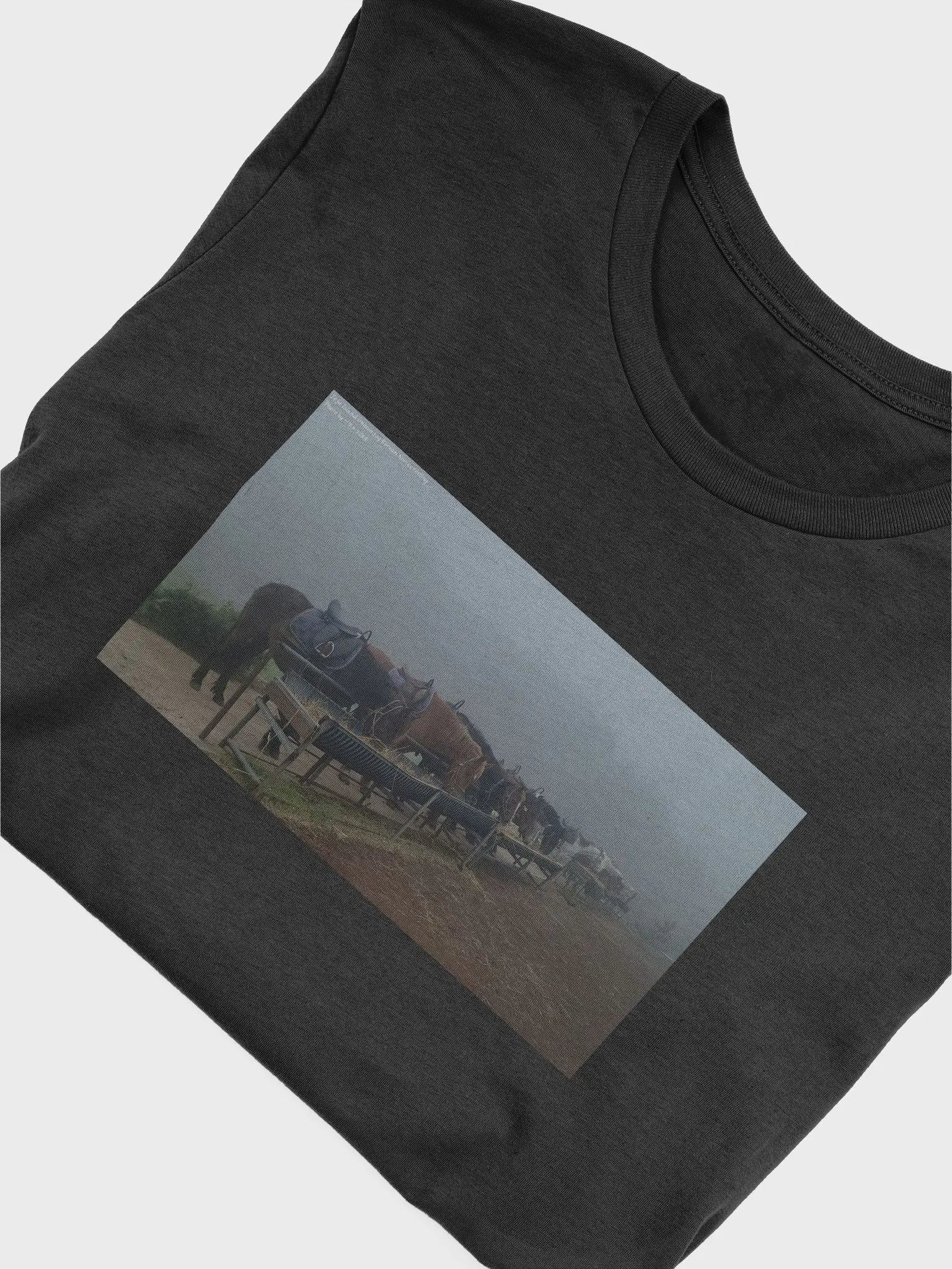 Jeju Island Unesco fog Korean horses resting Photo by 이경도 2023 product image (5)