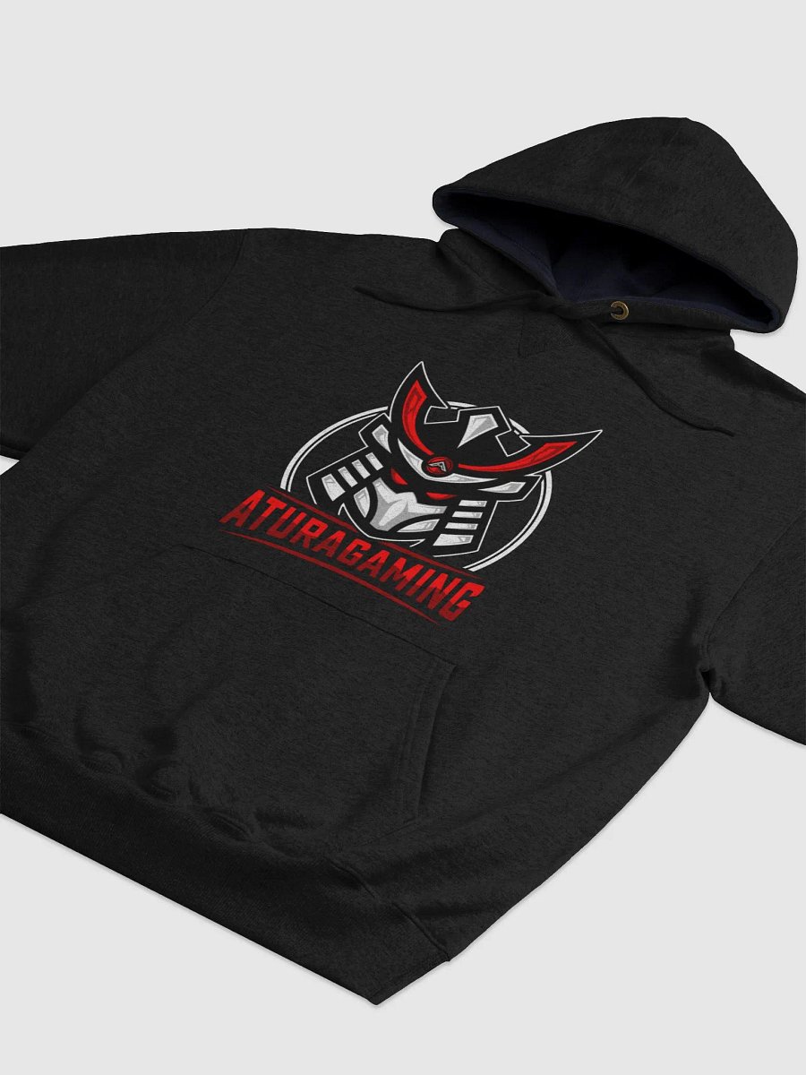 Champion Brand Classic Atura Gaming Hoodie product image (3)