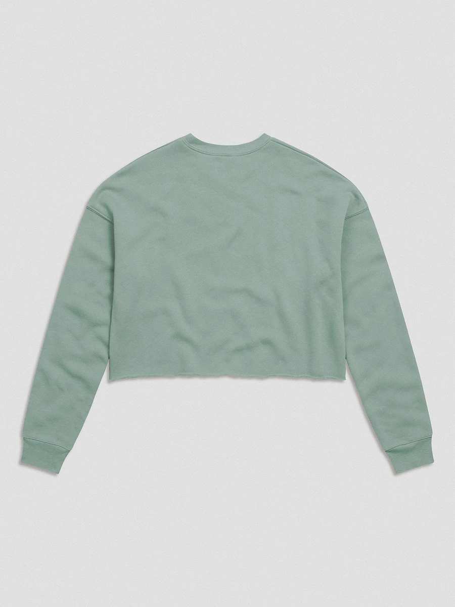 The B-Team Crop Sweatshirt product image (28)