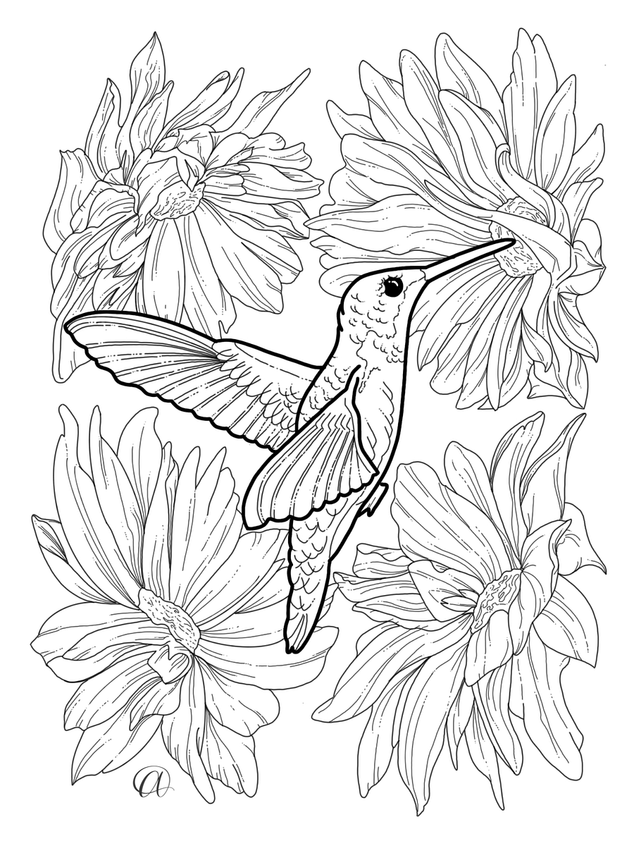 Early Birds Coloring Pages product image (1)