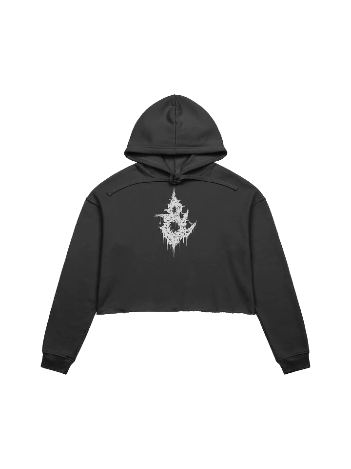 D&E Basic Crop Hoodie product image (1)